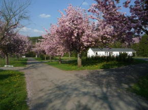  Le Brissoneau Rendeux  Рандё